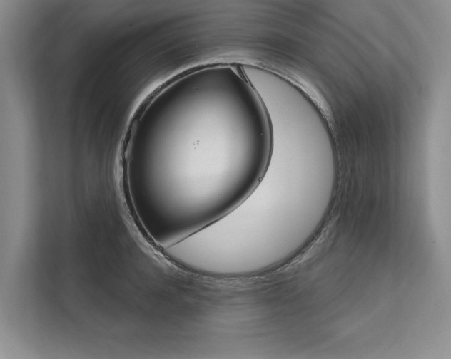 X0000111510944200907211200