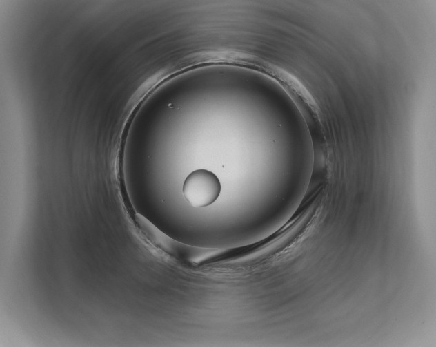 X0000111510946200907211200