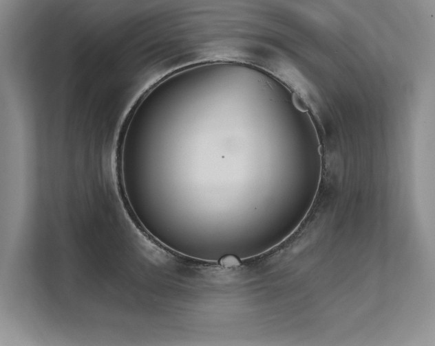 X0000111510947200907211200