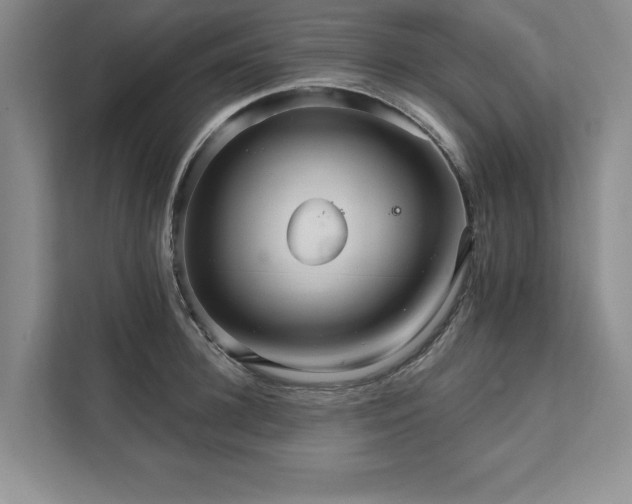 X0000111510948200907211200