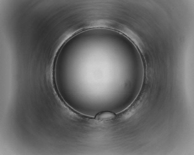 X0000111510949200907211200