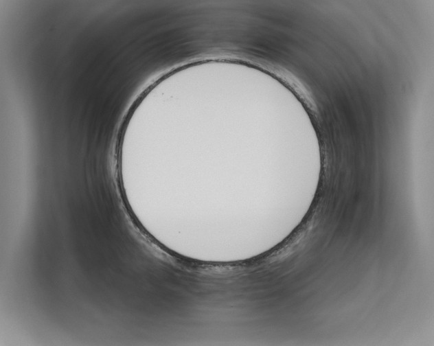 X0000111510950200907211200