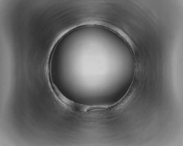 X0000111510951200907211200