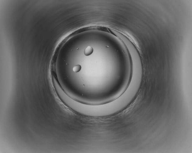 X0000111510952200907211200