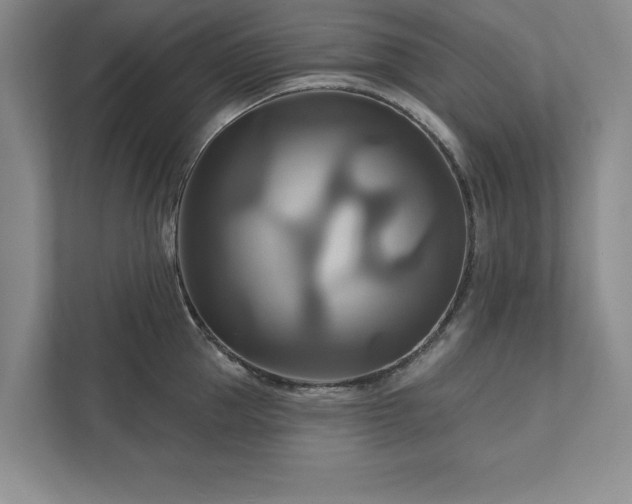 X0000111510953200907211200
