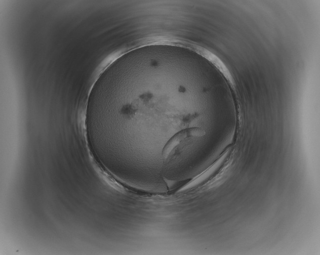 X0000111510954200907211200