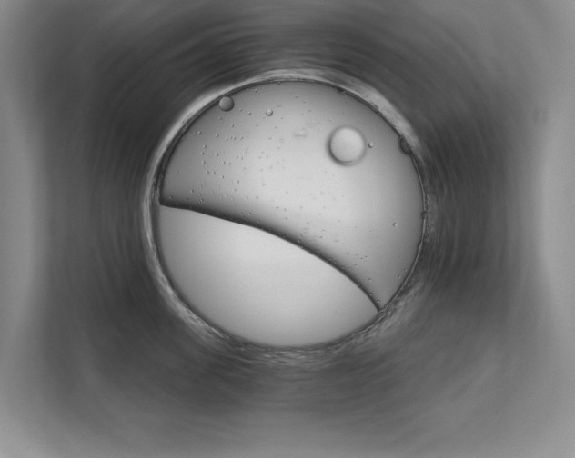 X0000111510955200907211200