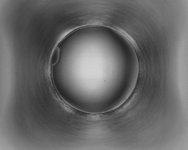 X0000111510956200907211200