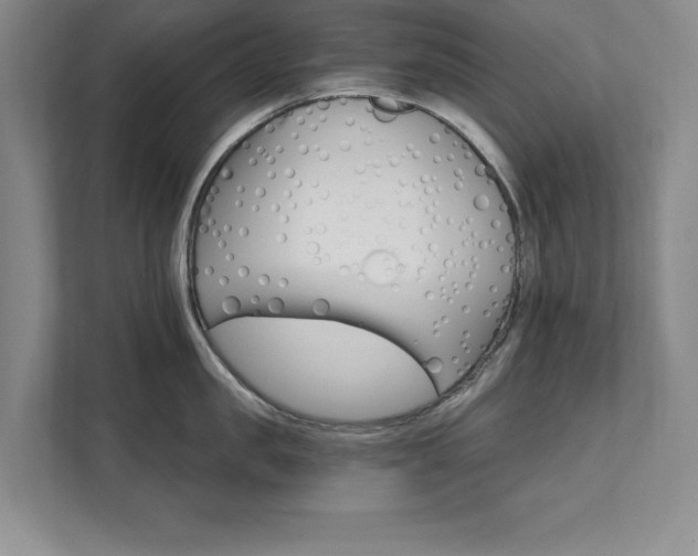 X0000111510957200907211200