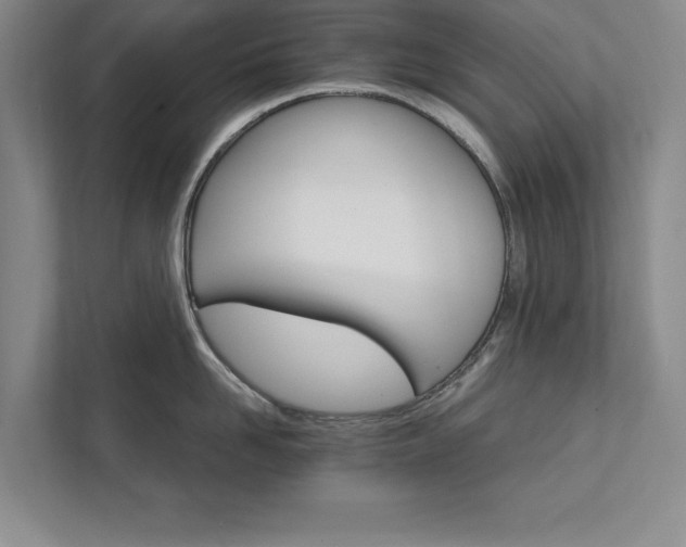 X0000111510958200907211200