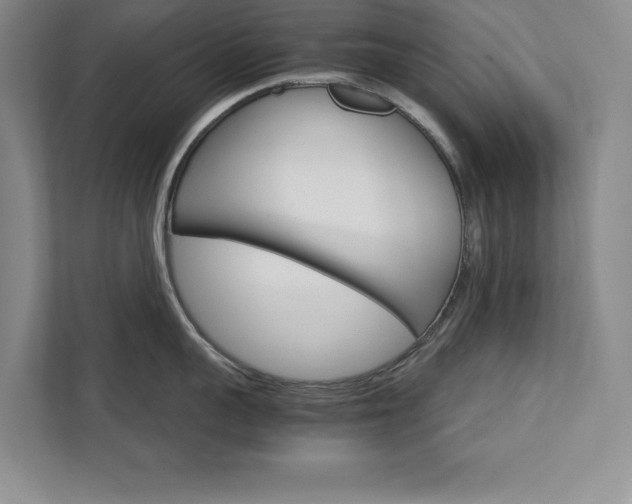 X0000111510959200907211200