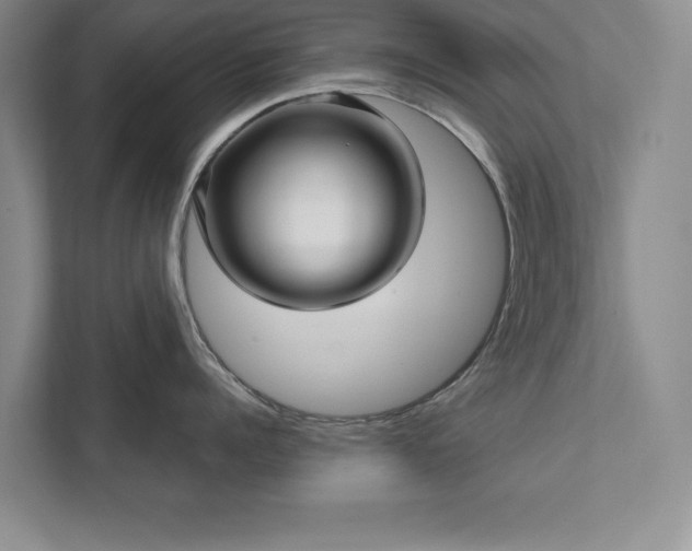 X0000111510960200907211201