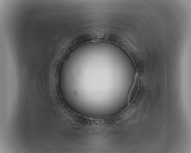 X0000111510961200907211200