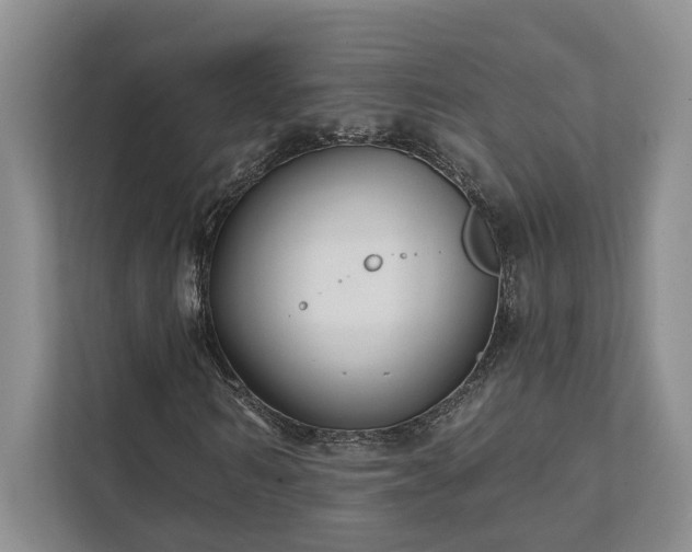 X0000111510962200907211200