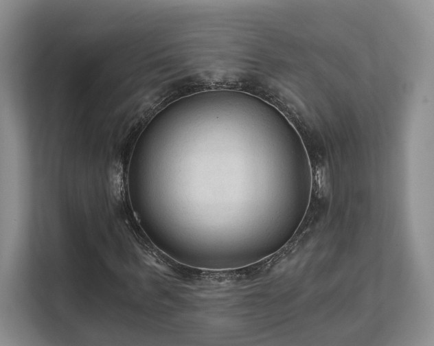 X0000111510963200907211200