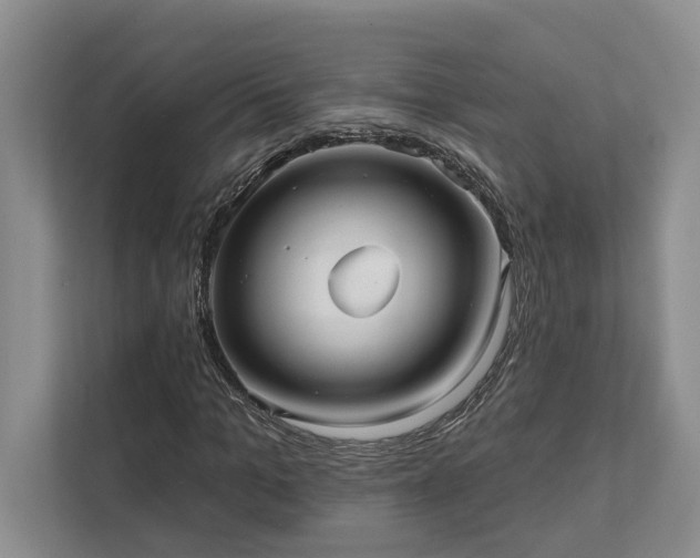 X0000111510965200907211200
