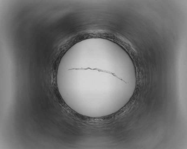 X0000111510966200907211200