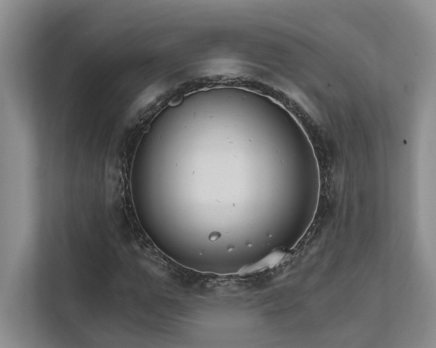X0000111510967200907211200