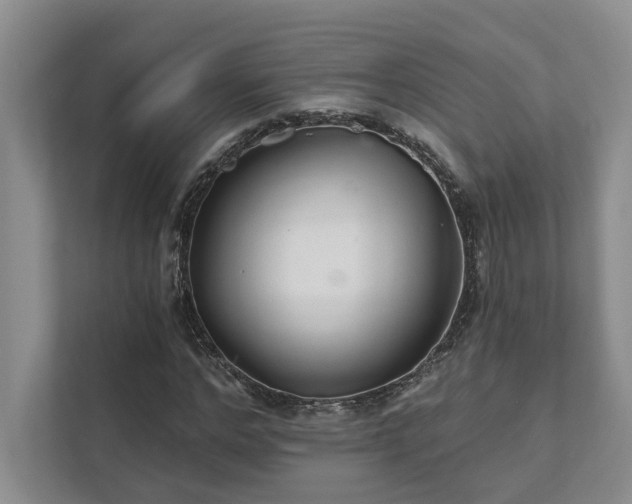 X0000111510968200907211200