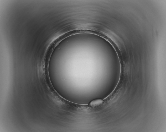 X0000111510971200907211200