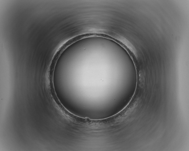 X0000111510972200907211200