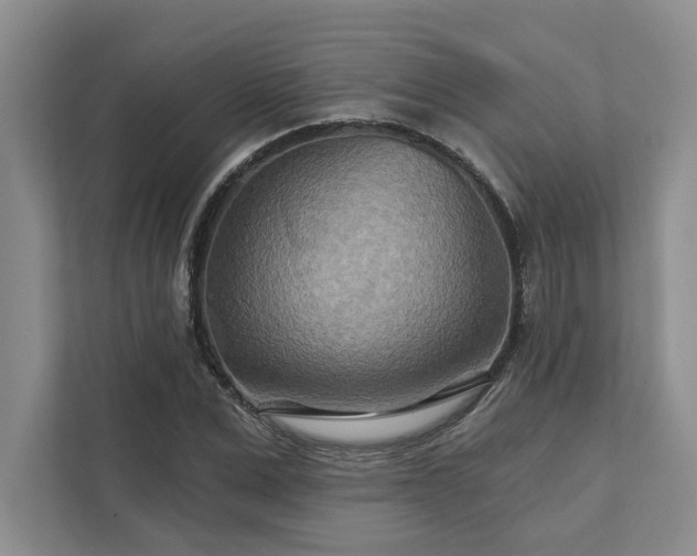 X0000111510975200907211200