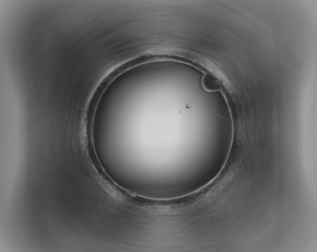 X0000111510976200907211200