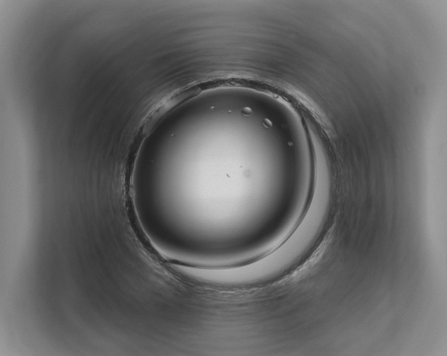 X0000111510977200907211200