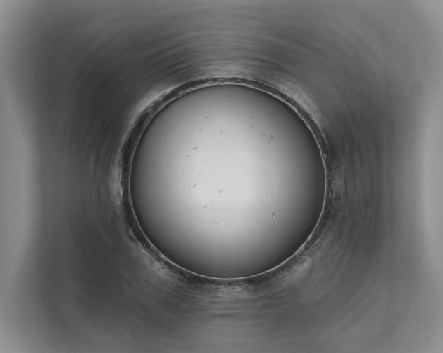 X0000111510979200907211200