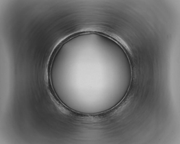 X0000111510980200907211200