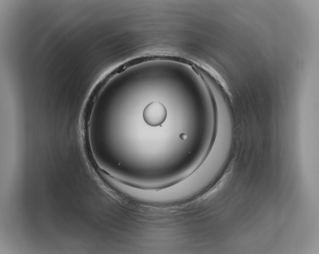 X0000111510981200907211200