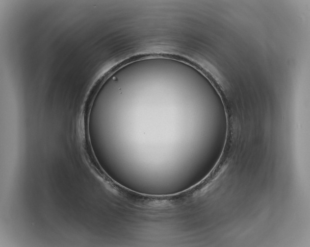 X0000111510982200907211200