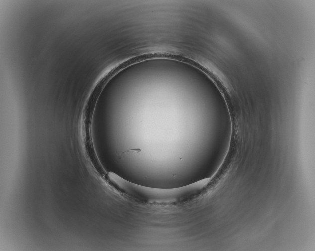 X0000111510983200907211159