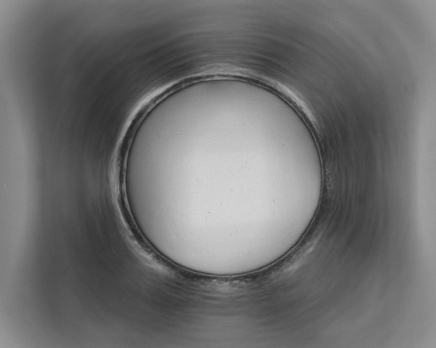 X0000111510987200907211159