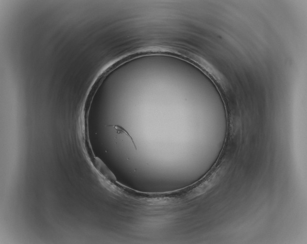 X0000111510988200907211159