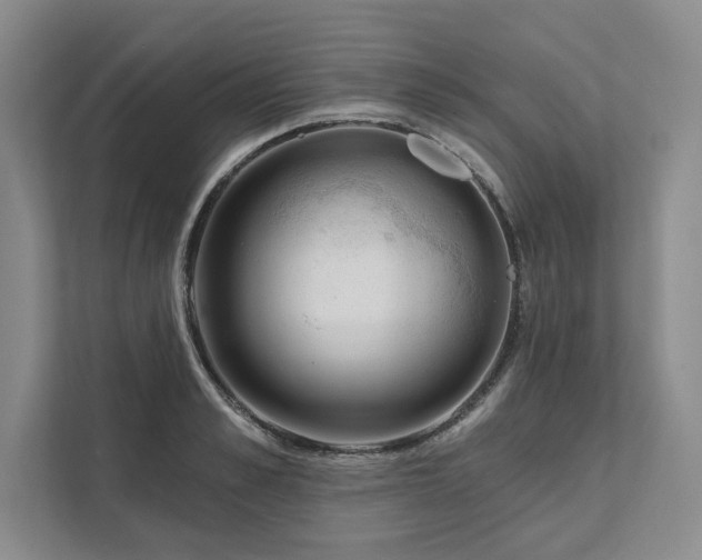 X0000111510989200907211159