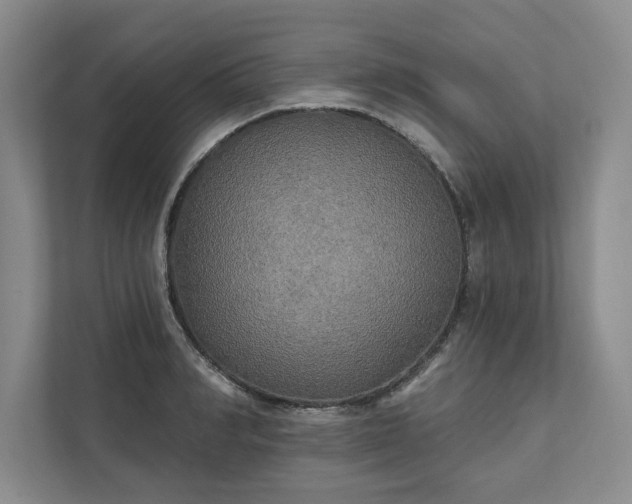 X0000111510990200907211159