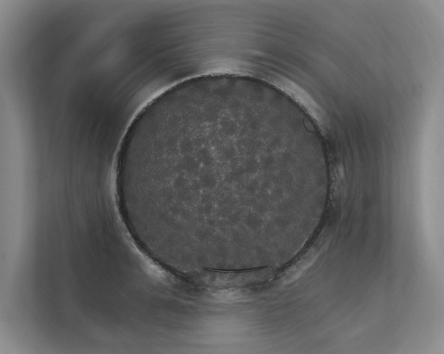 X0000111510991200907211159