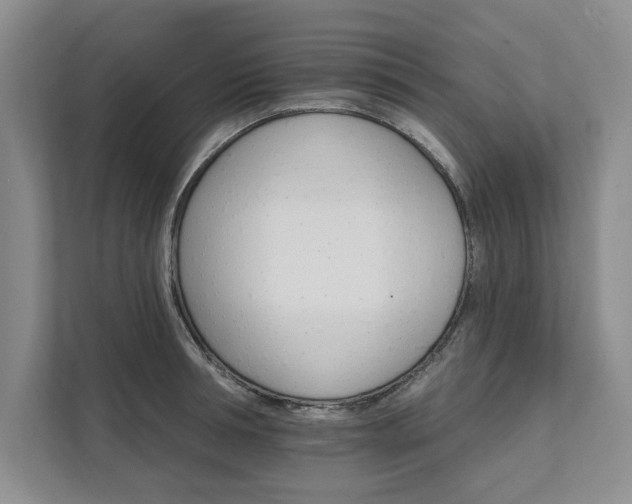 X0000111510994200907211159