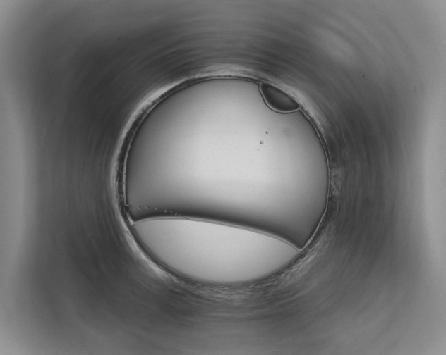 X0000111510995200907211159