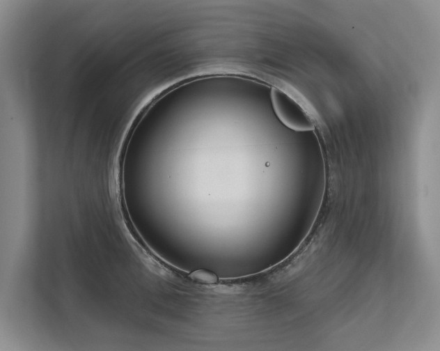 X0000111510996200907211159