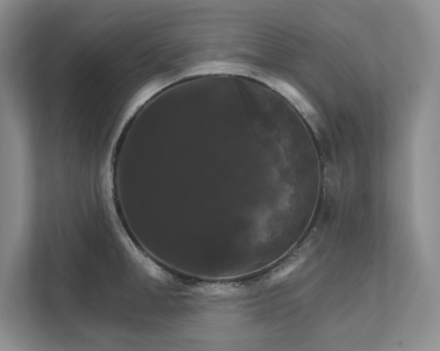 X0000111510998200907211159