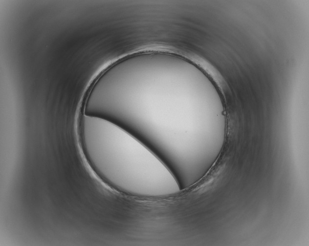 X0000111510999200907211159