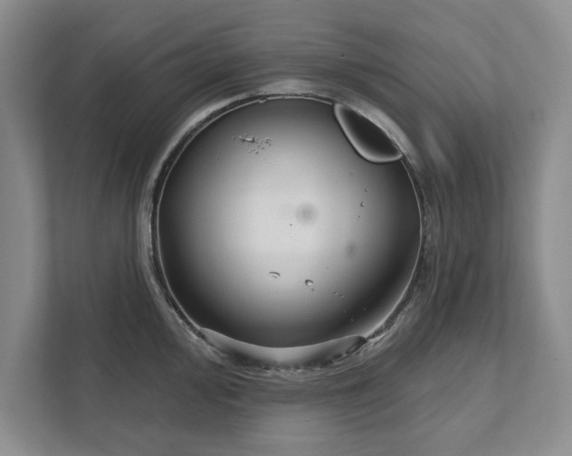 X0000111511000200907211159