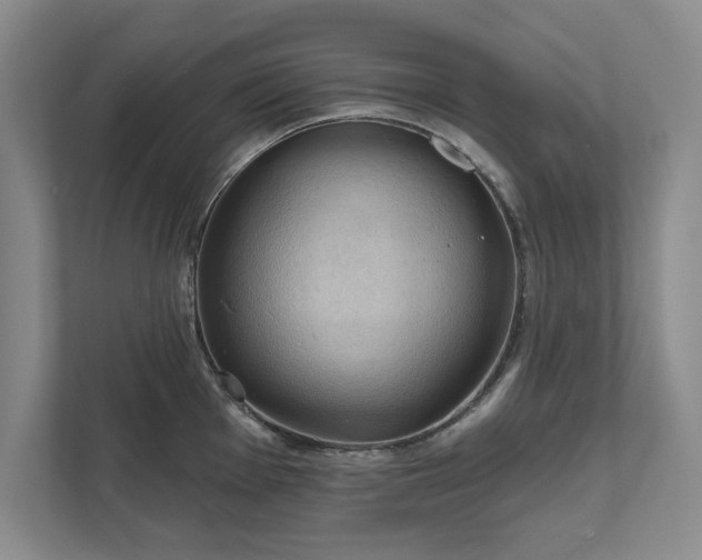 X0000111511001200907211159