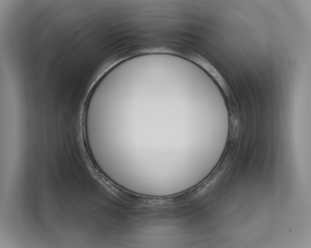 X0000111511002200907211159