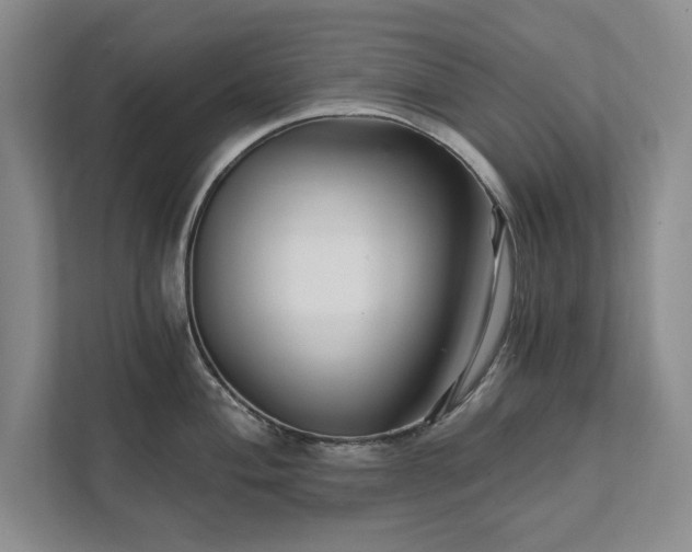 X0000111511004200907211159