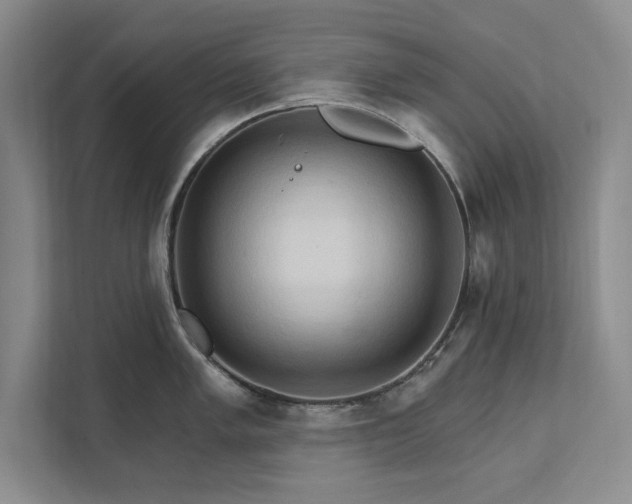 X0000111511005200907211159