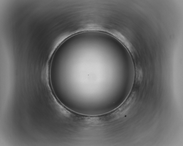 X0000111511006200907211159
