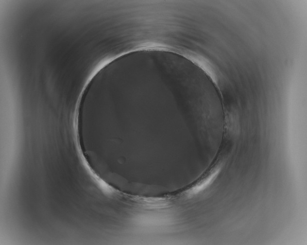 X0000111511007200907211159